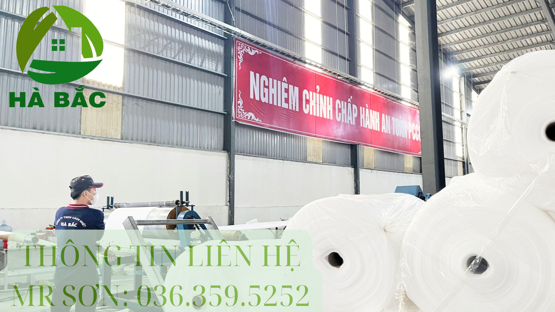 mut-xop-mem-mong-pe-foam