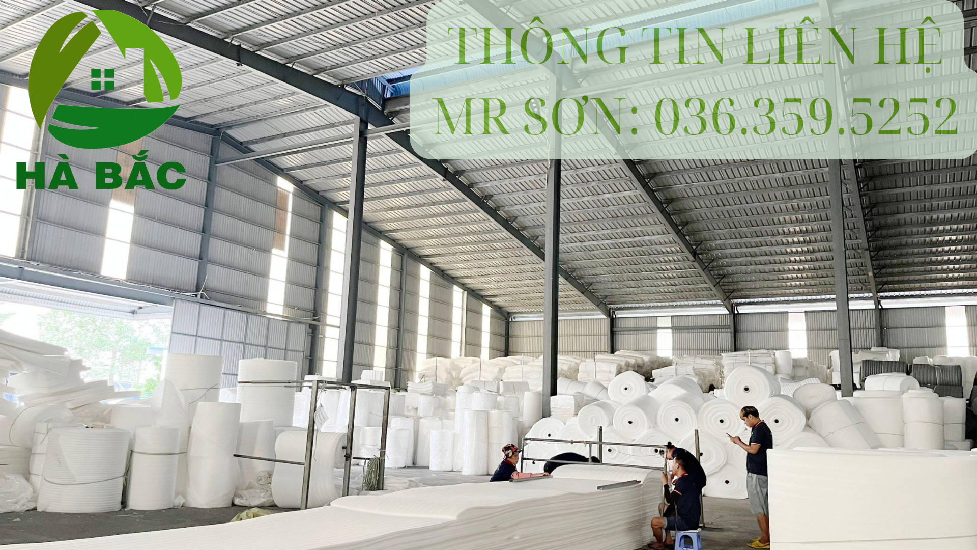 mut-xop-mem-mong-pe-foam