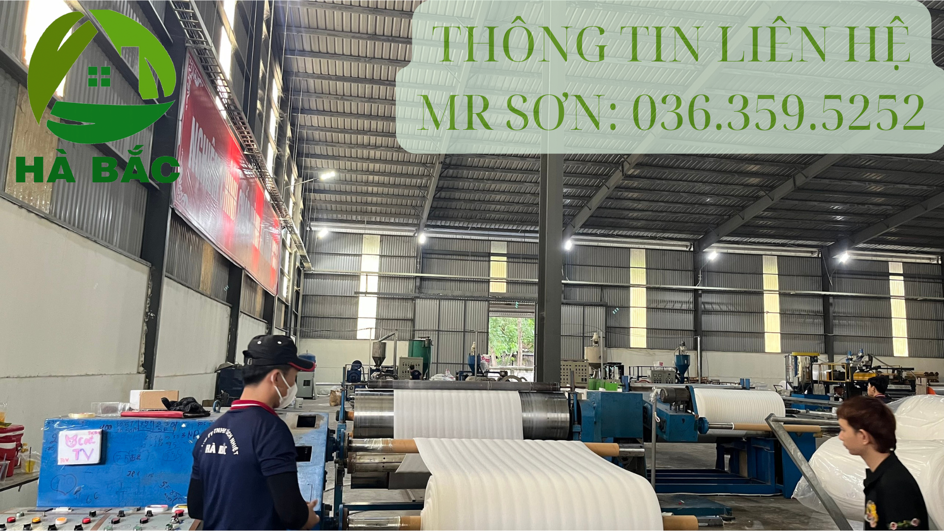 mut-xop-mem-mong-pe-foam