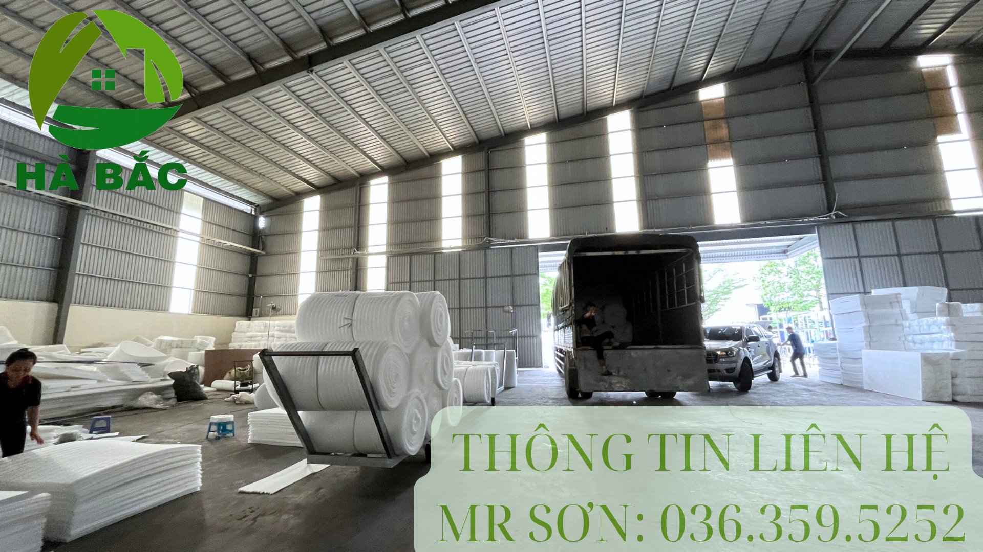 mut-xop-mem-mong-pe-foam