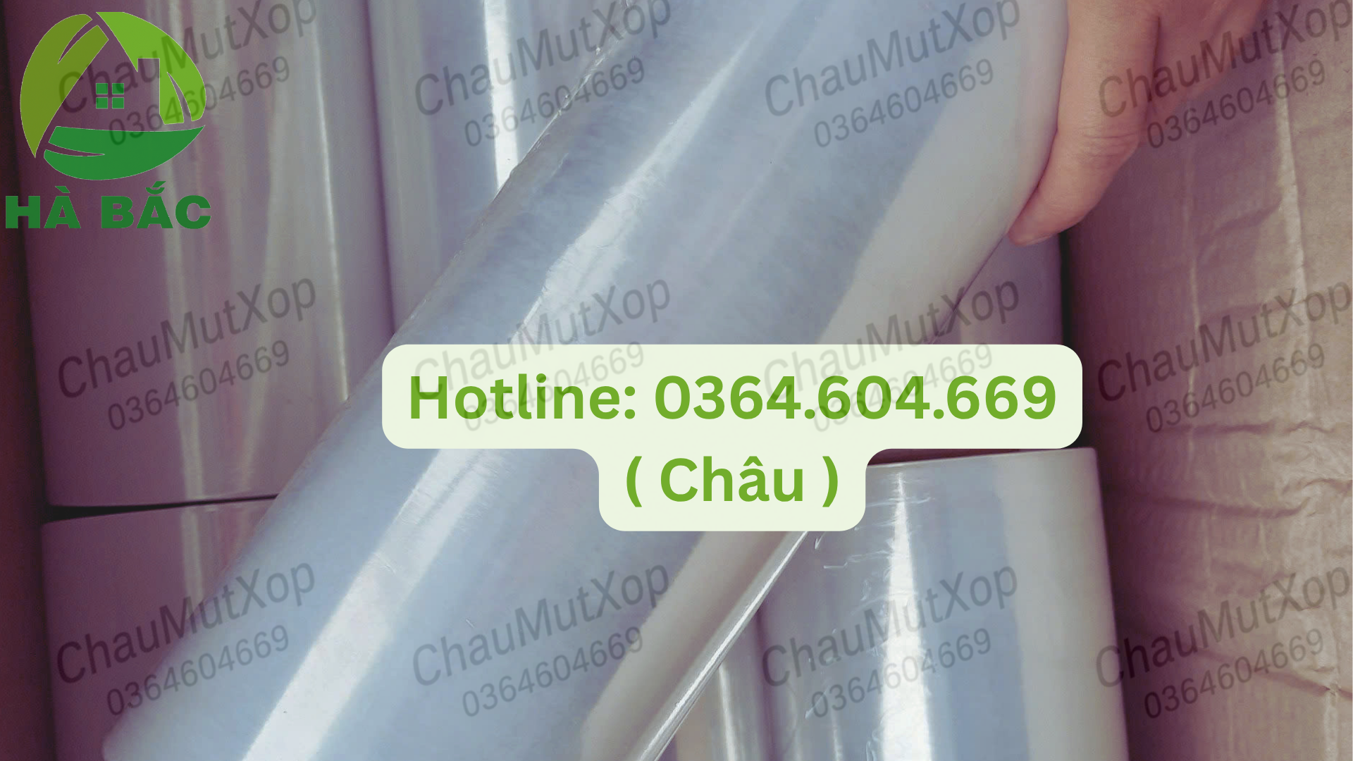 màng co pe giá rẻ
