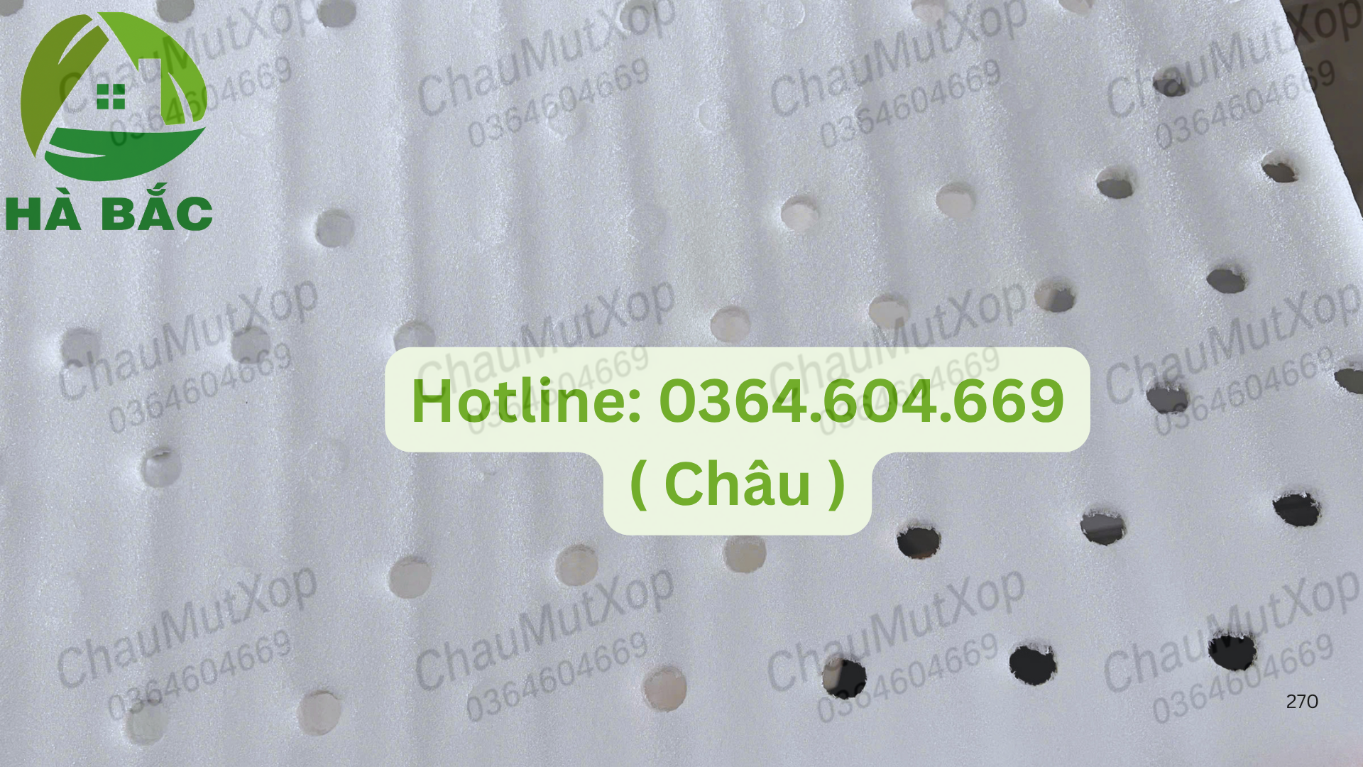 mút xốp đục lỗ lót trái cây