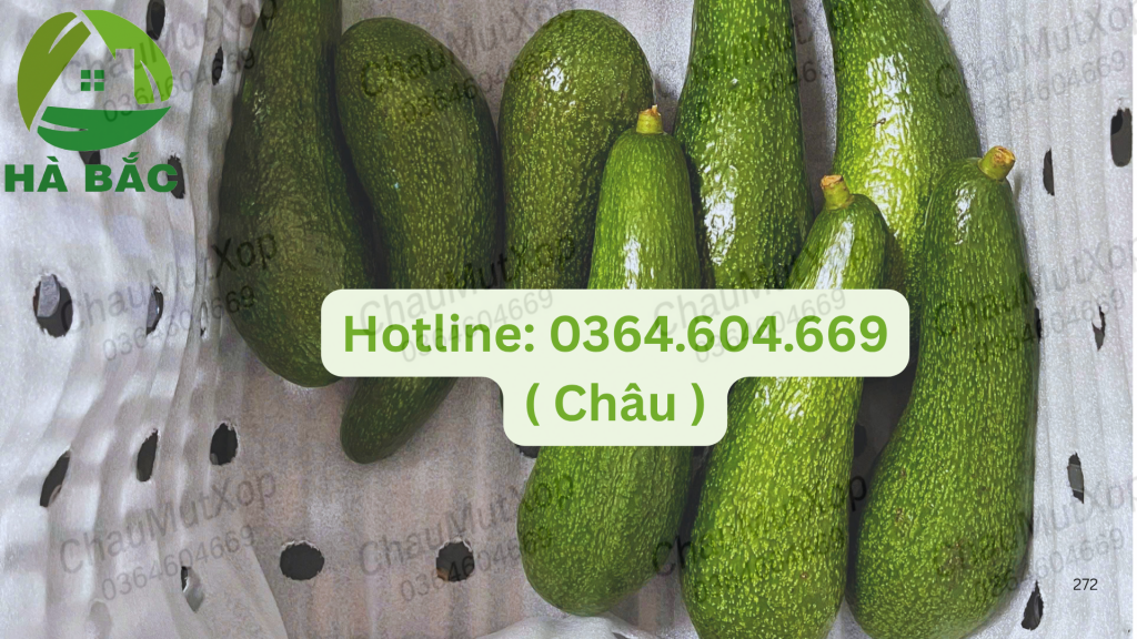mút xốp đục lỗ giá rẻ tại xưởng