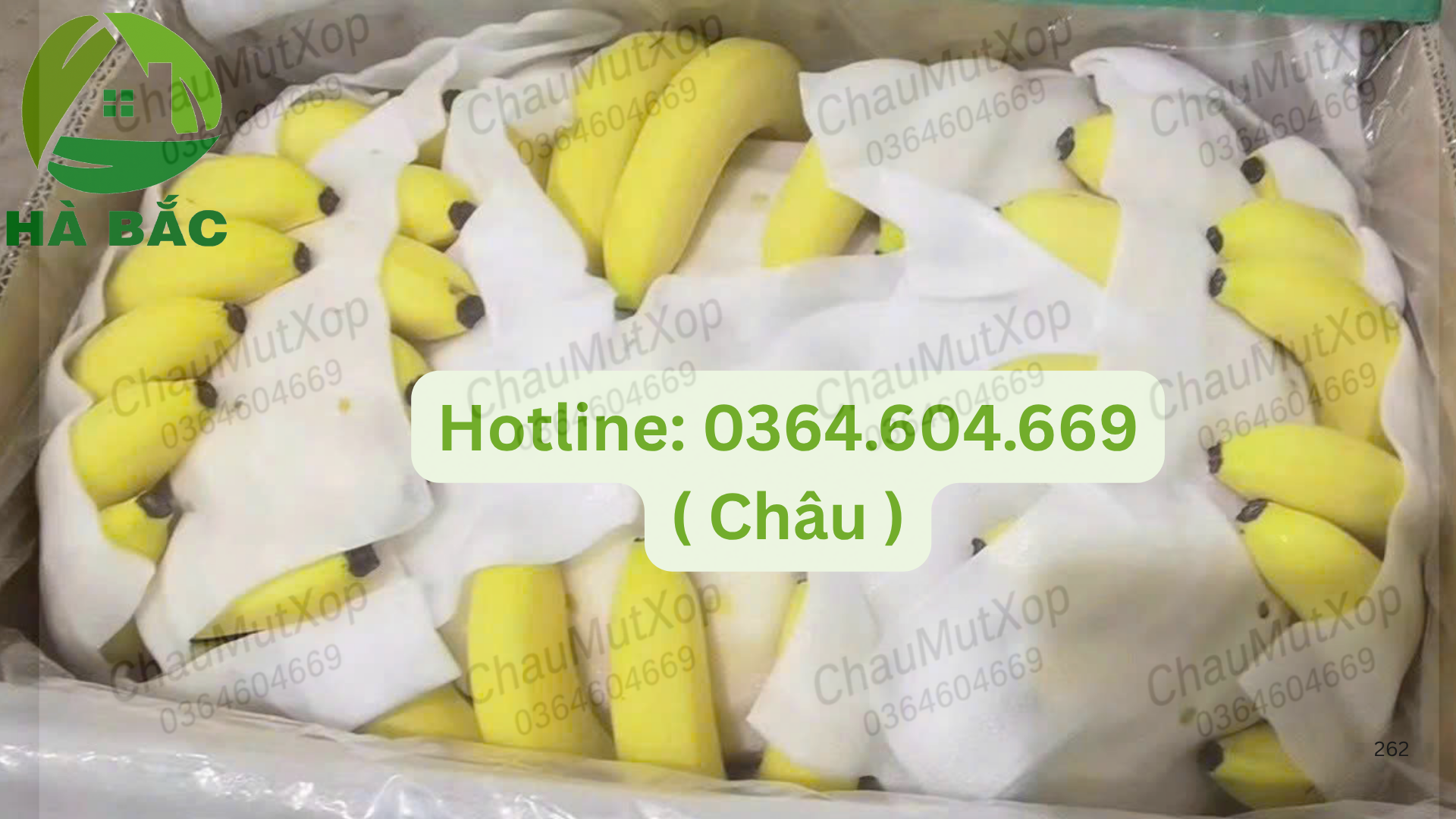foam lót chuối giá rẻ tại Gia Lai