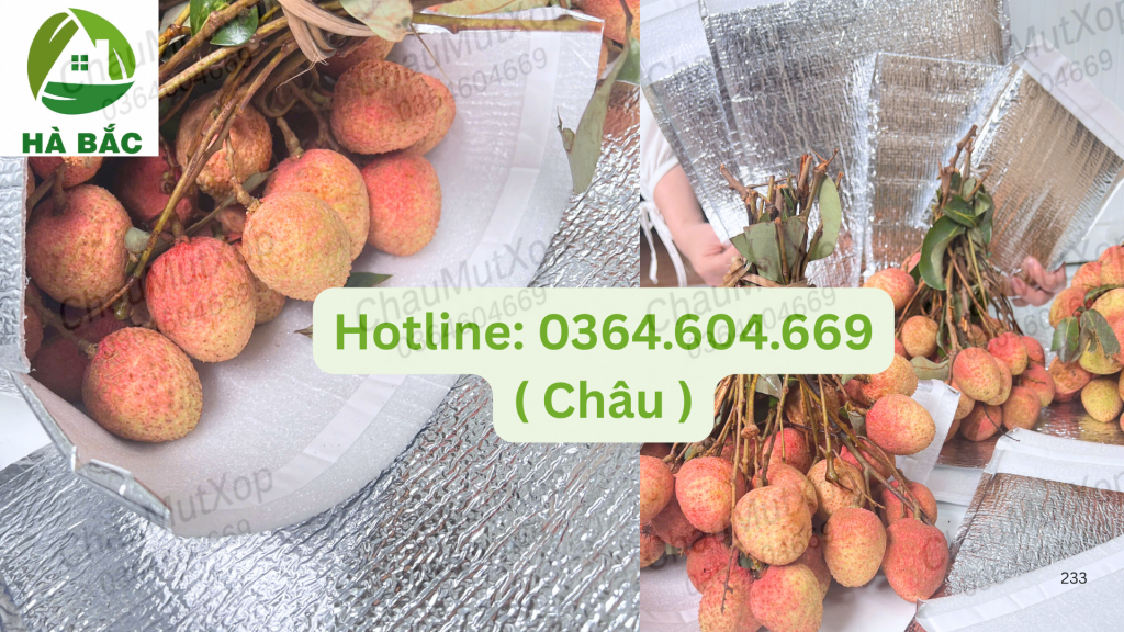 túi cách nhiệt giá rẻ uy tín